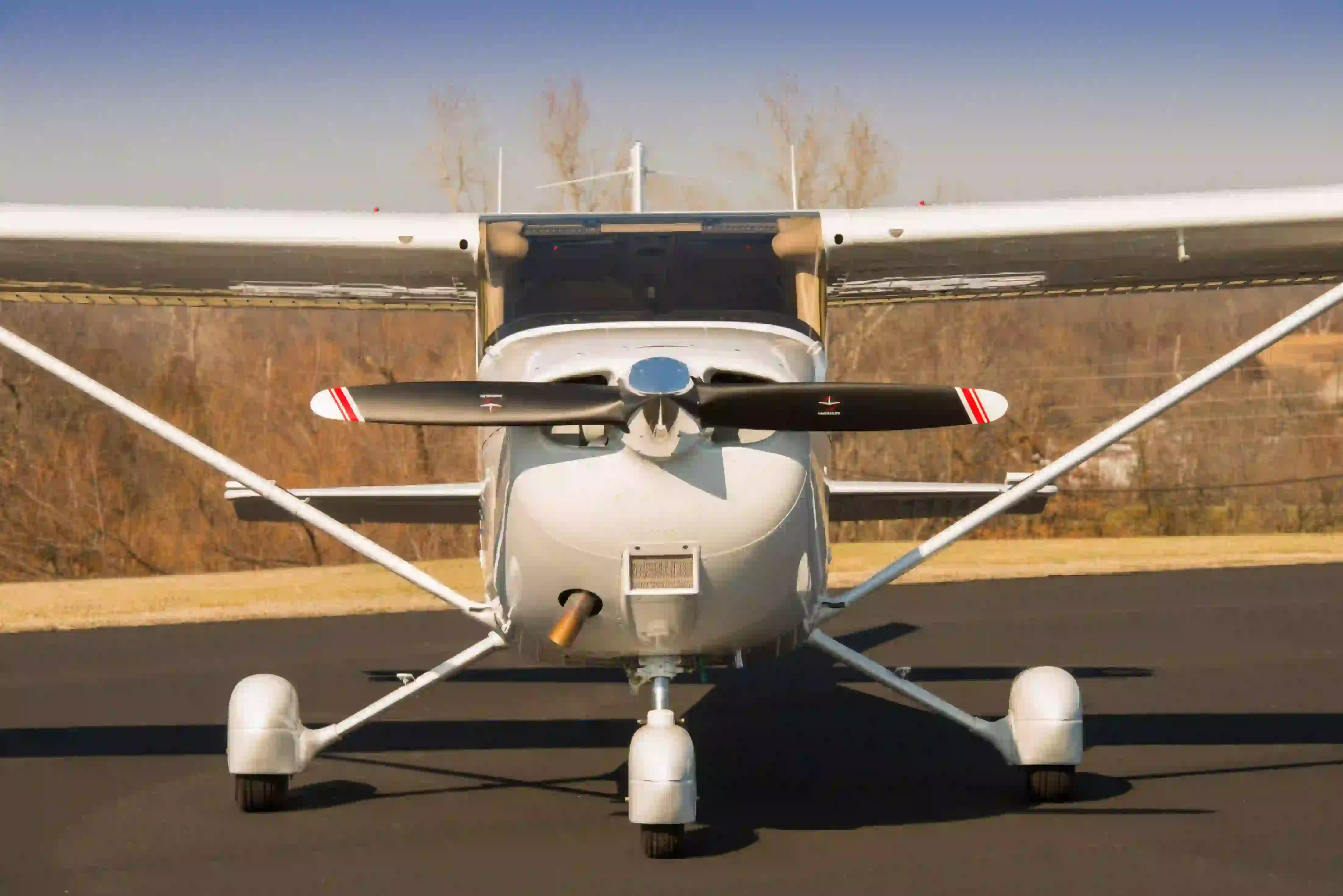 Skyhawk-blur