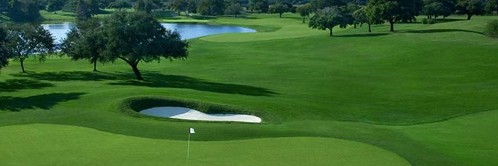 Incorporated In The U.S.