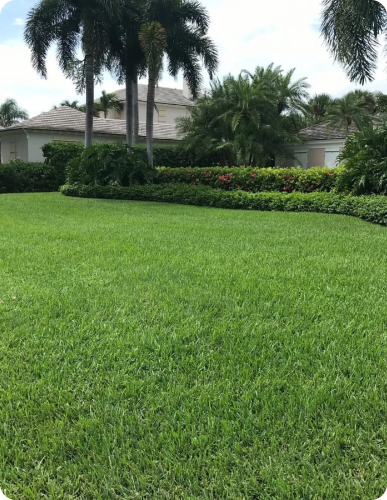 Protecting Florida homes through every season