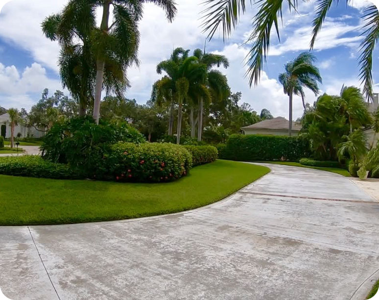 Why Florida Homeowners Trust Our Rodent Control Services