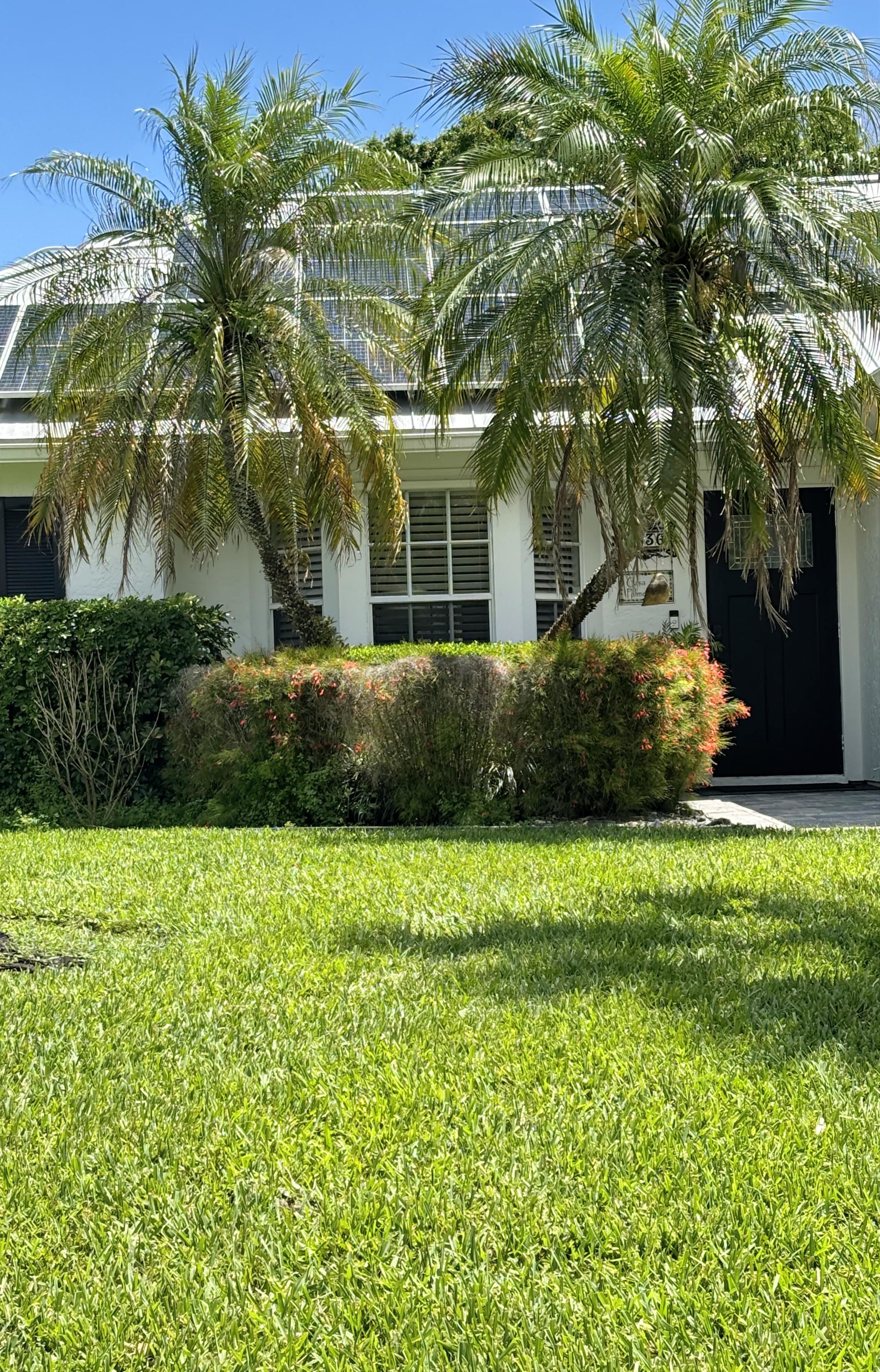 Lawn, Shrub & Palm Care
